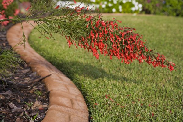 Brick Edging in Camas