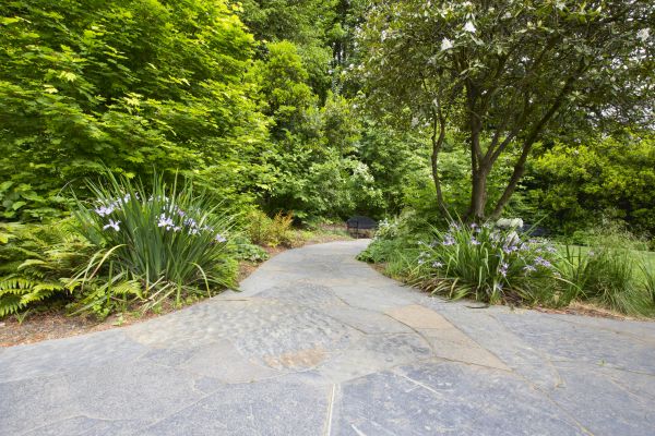 Stone Hardscape Service in Camas